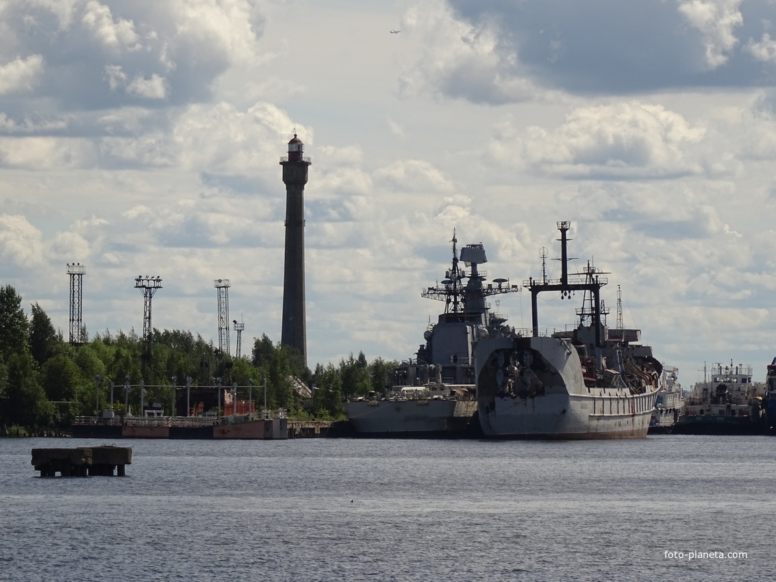 Лесная гавань