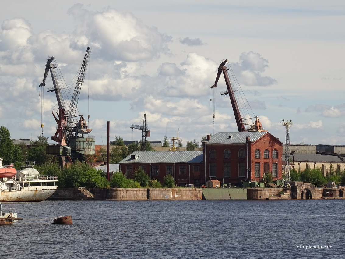 Лесная гавань