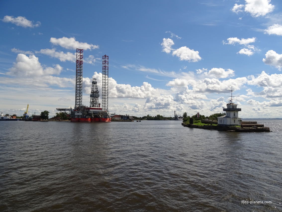 Лесная гавань