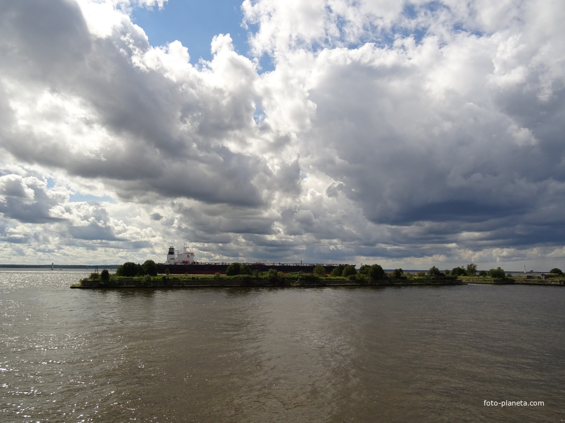 Лесная гавань