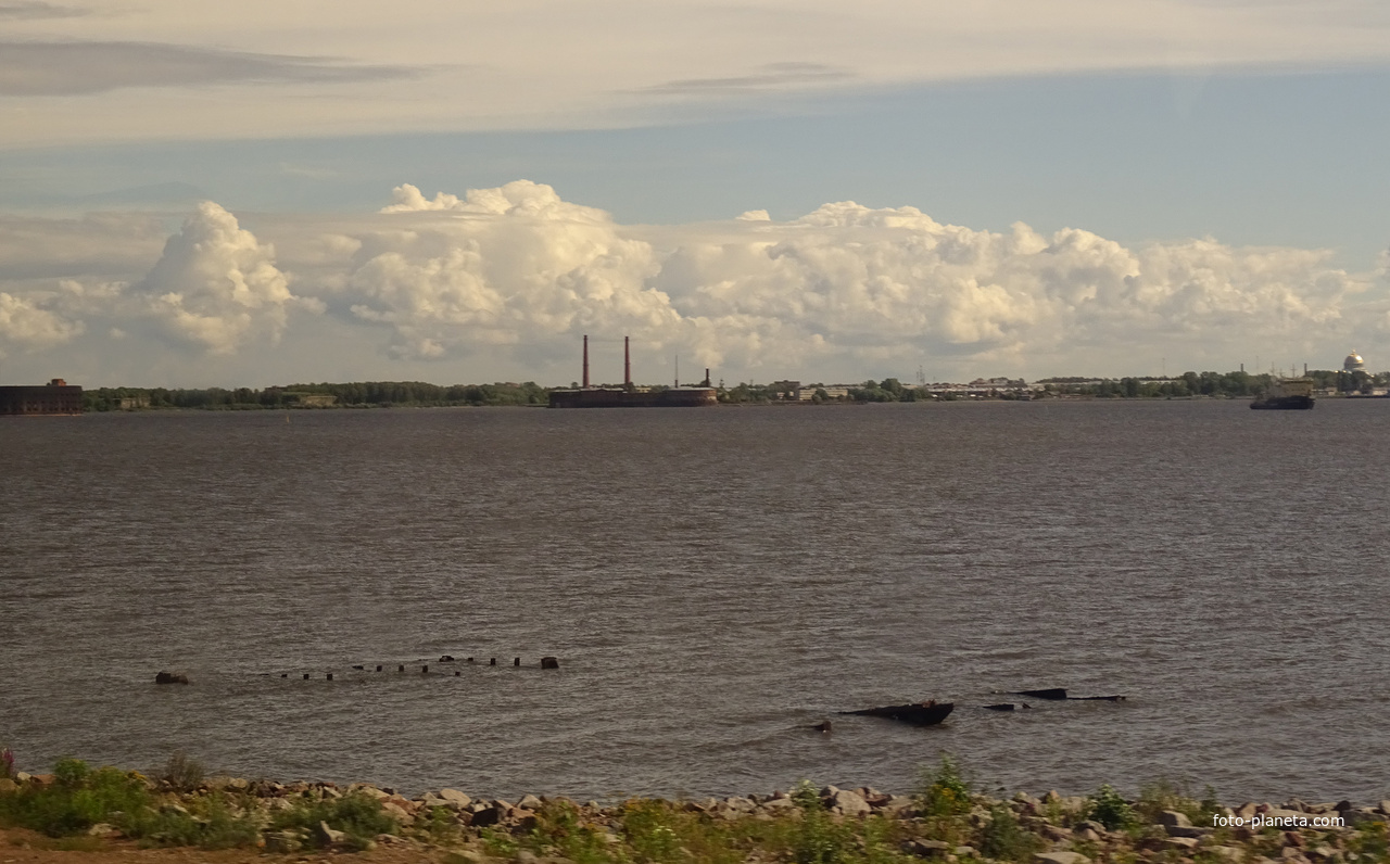 Невская губа