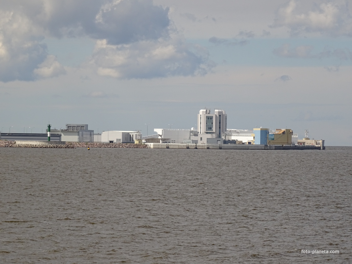 Невская губа