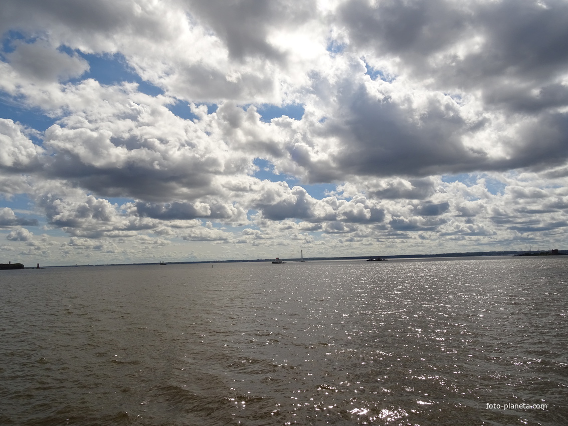 Невская губа