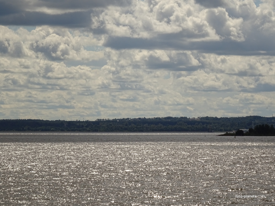 Невская губа