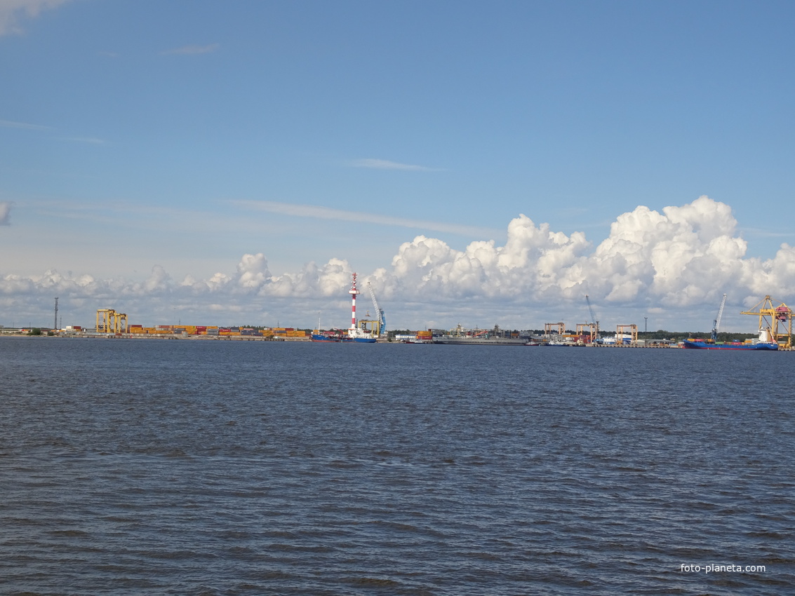 Невская губа