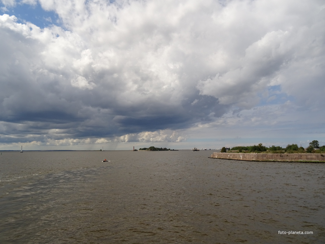 Невская губа