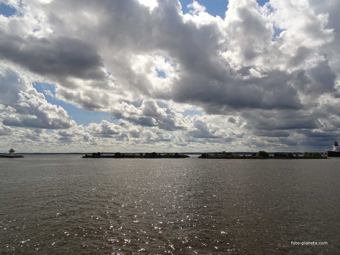 Невская губа