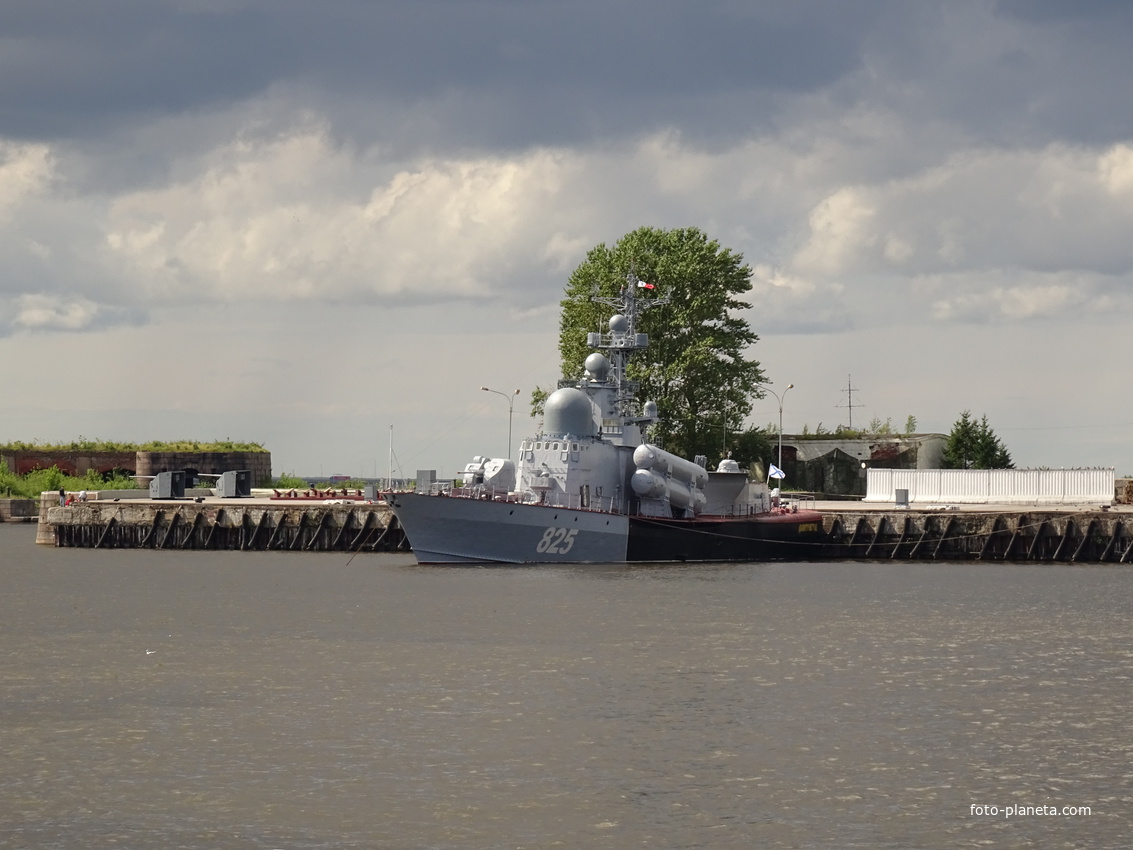 Петровская гавань