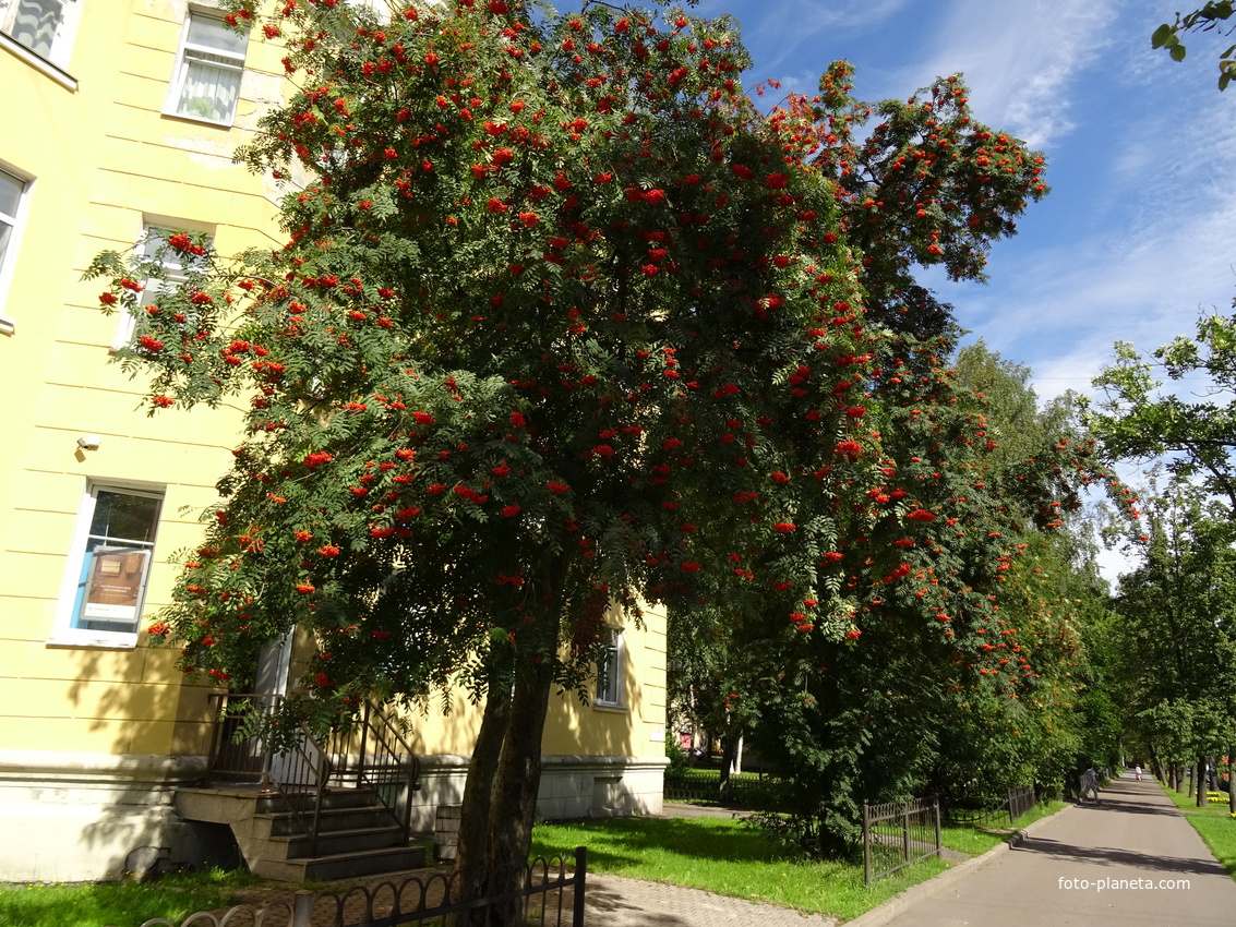 Проспект Ленина