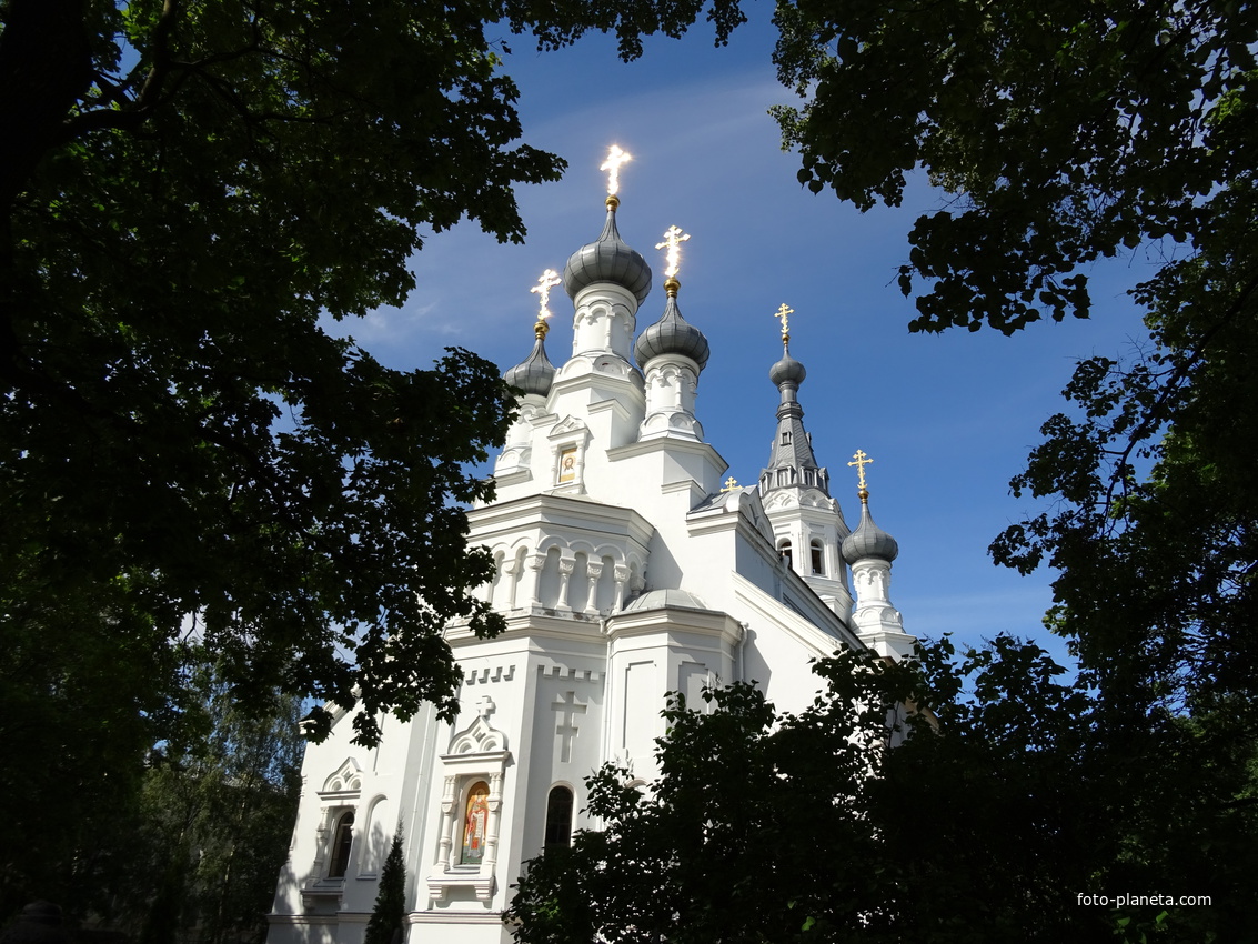 Собор Владимирской Иконы Божией Матери