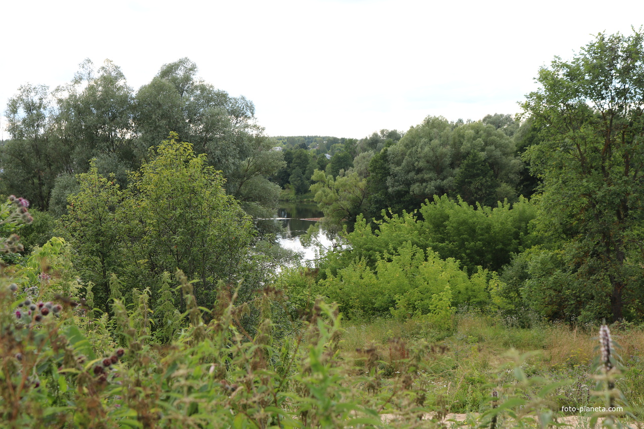 Гусь-Железный, река Гусь