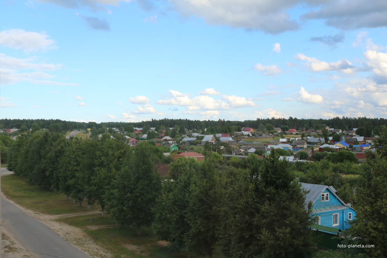 Гусь-Железный