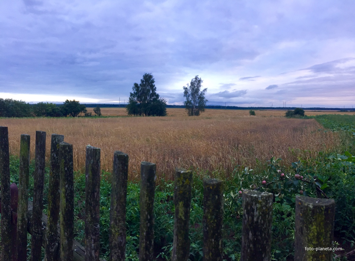 Броды. Июльские виды