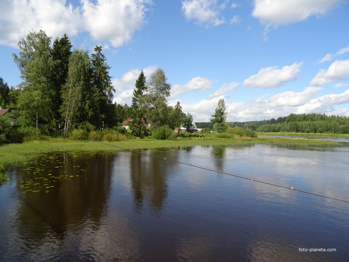 Река Оредеж