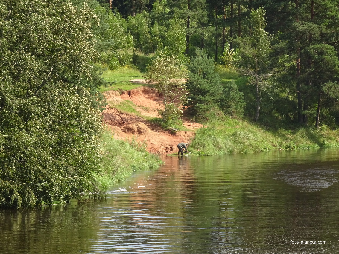 Река Оредеж