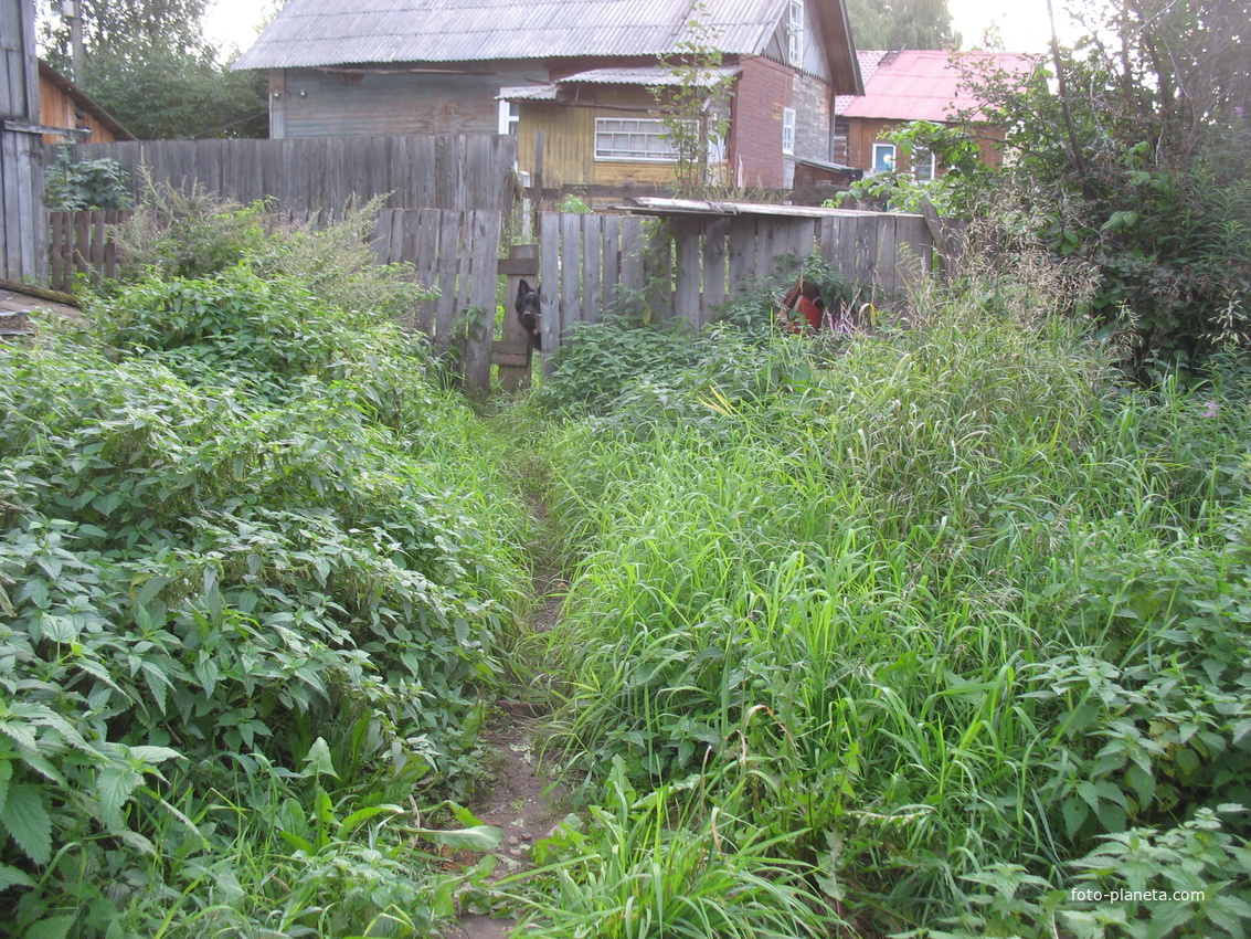 Сыктывкар 2016