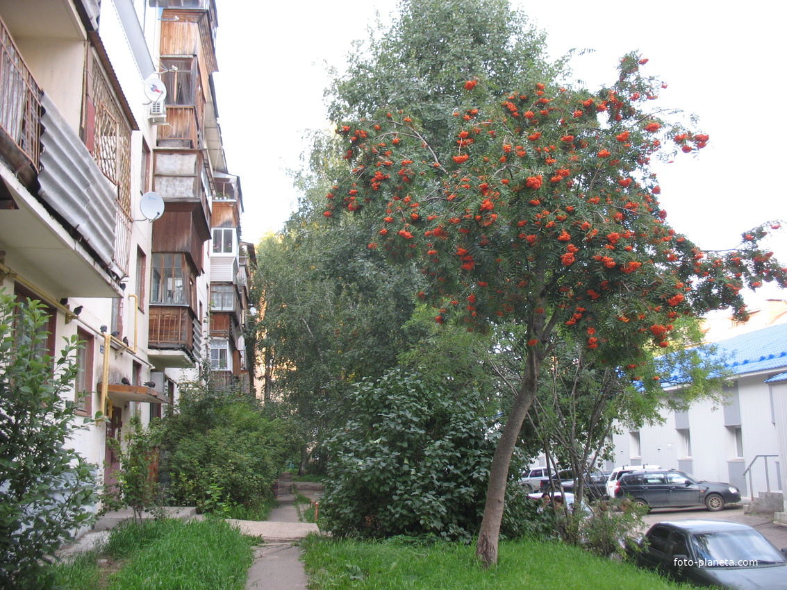 Сыктывкар 2016