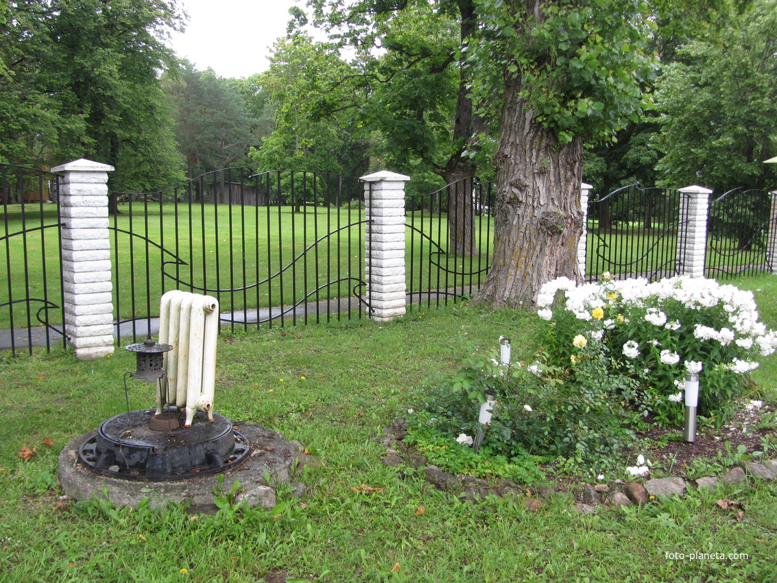 Тойла Мэрэтарэ