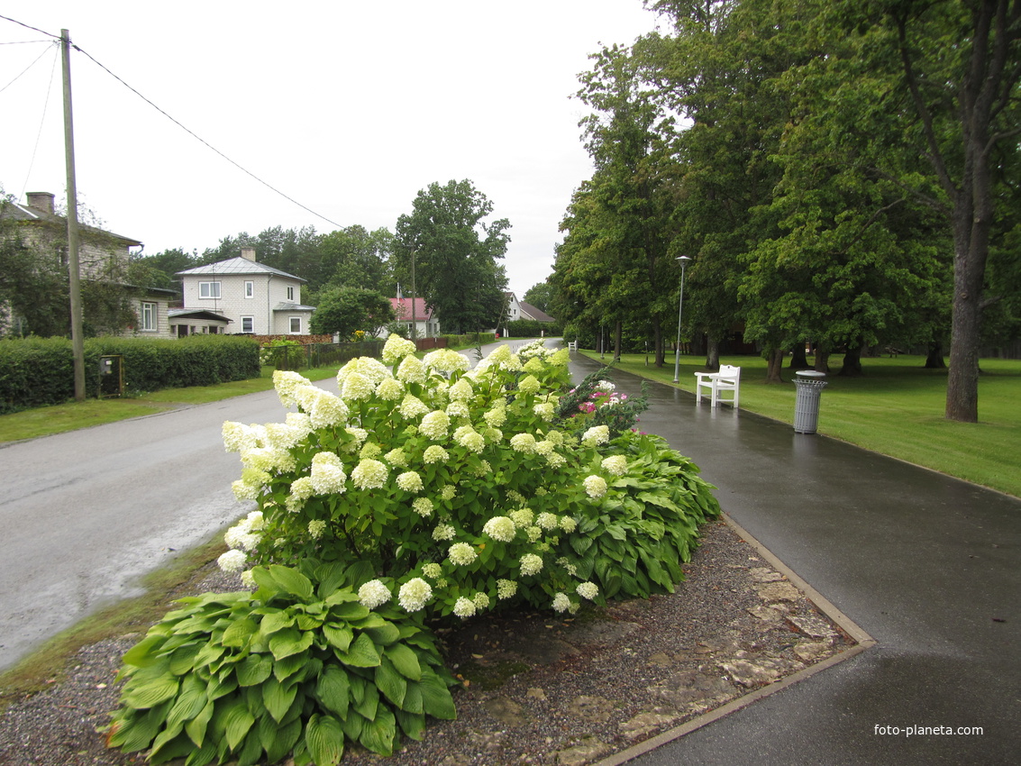 Тойла Мэрэтарэ