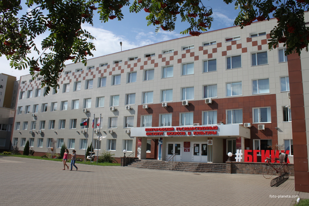 Институт культуры Белгород