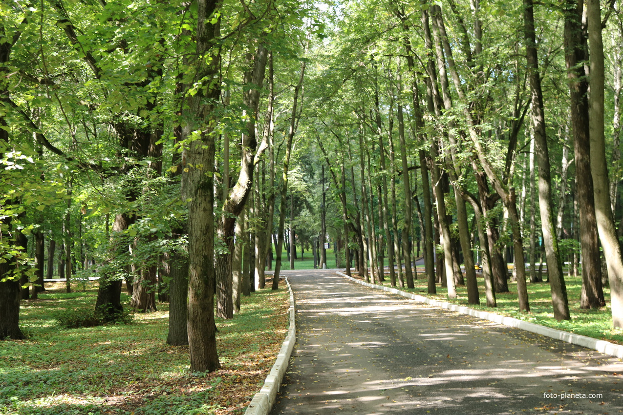 Музей-усадьба Архангельское