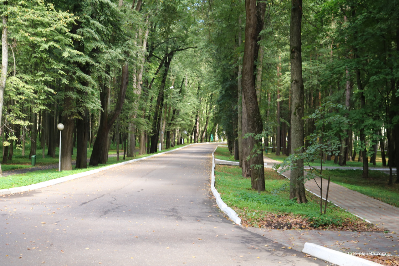 Музей-усадьба Архангельское