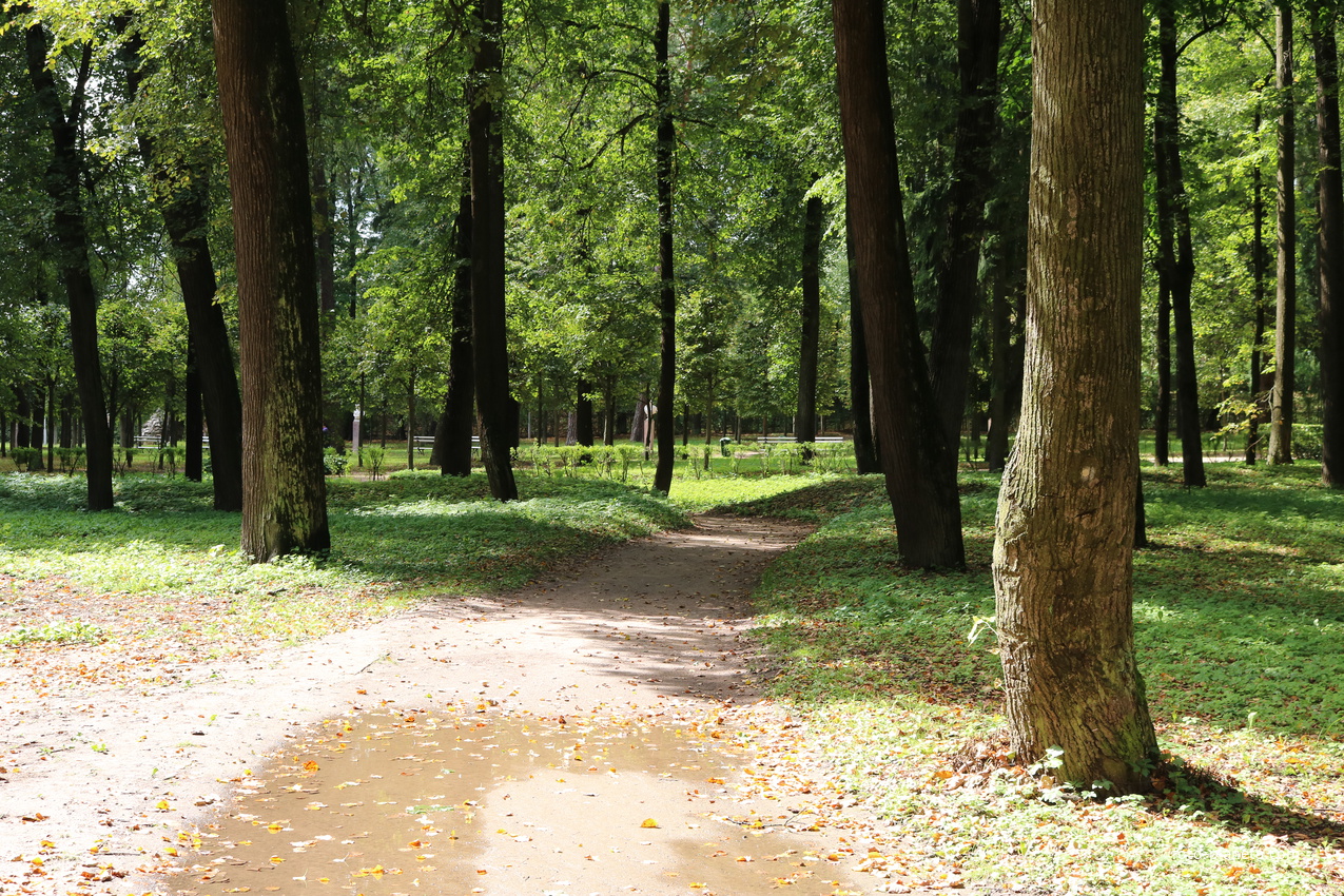 Музей-усадьба Архангельское