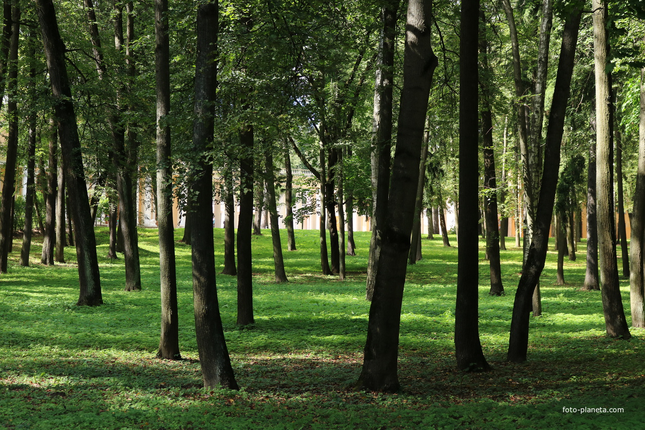 Музей-усадьба Архангельское