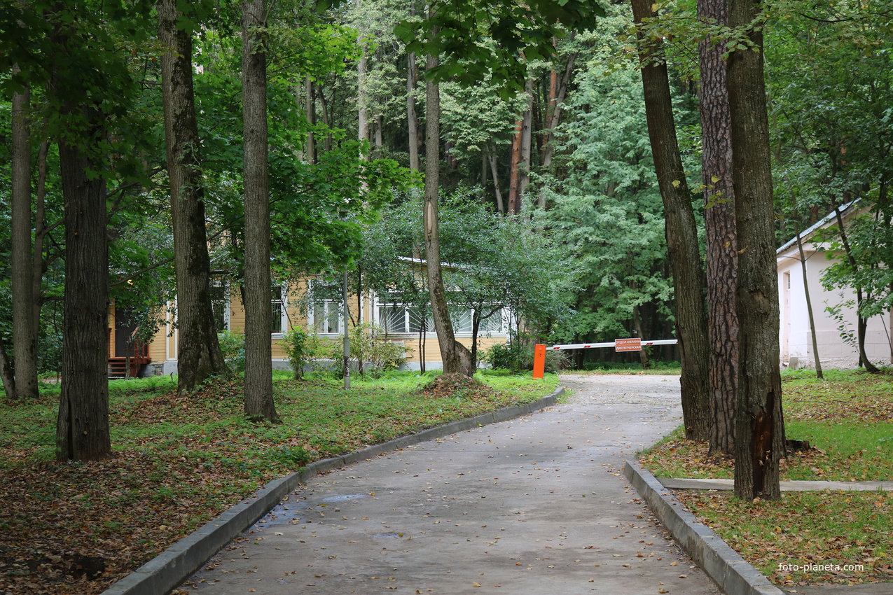 Усадьба Архангельское