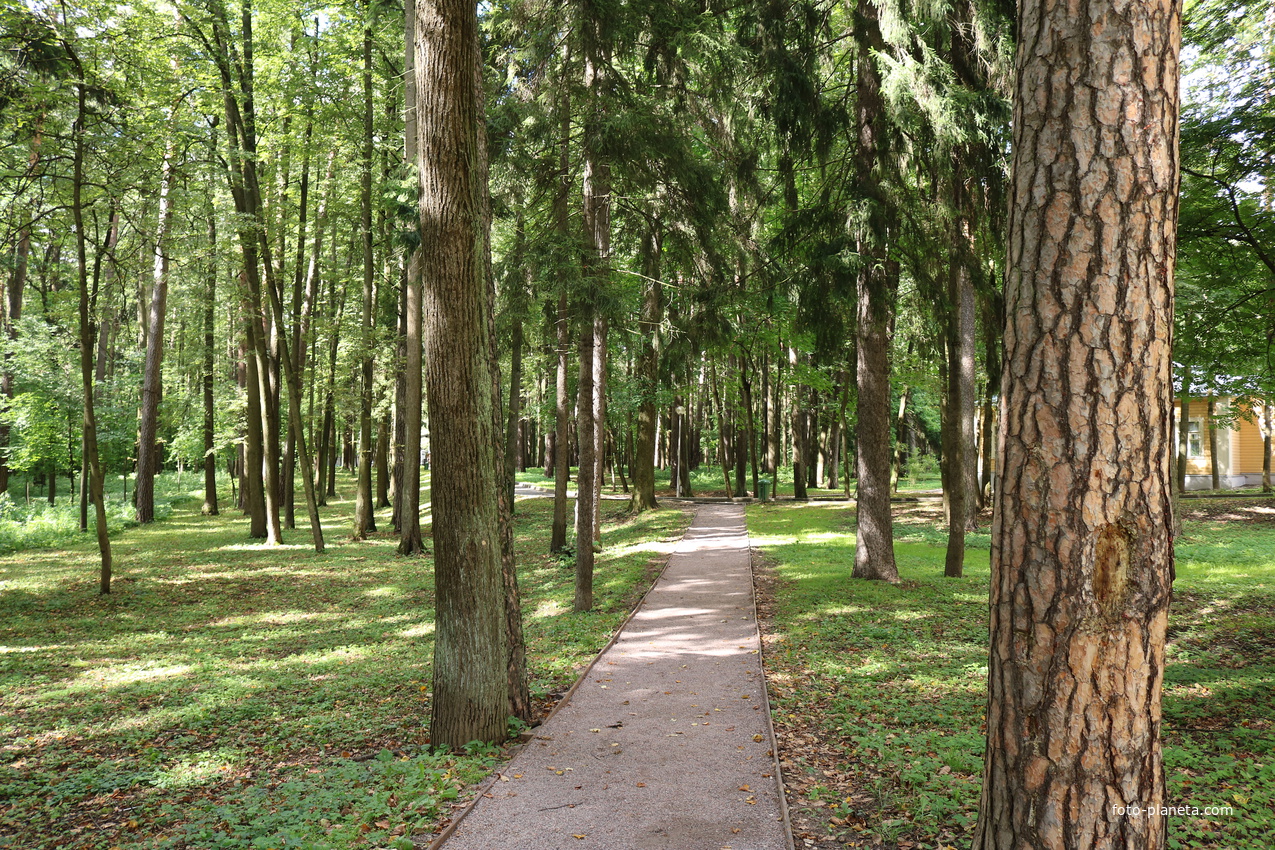 Музей-усадьба Архангельское