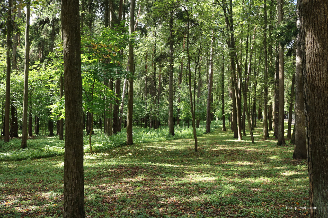Музей-усадьба Архангельское