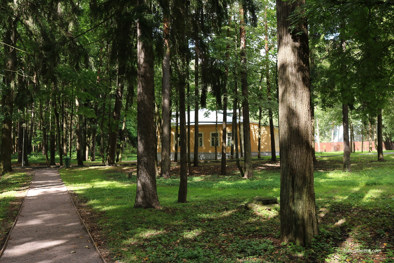 Музей-усадьба Архангельское