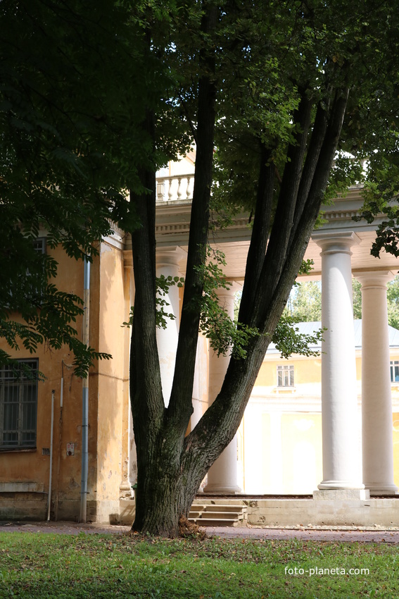 Усадьба Архангельское