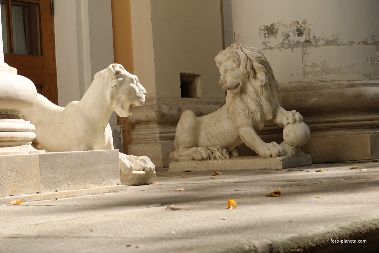 Усадьба Архангельское