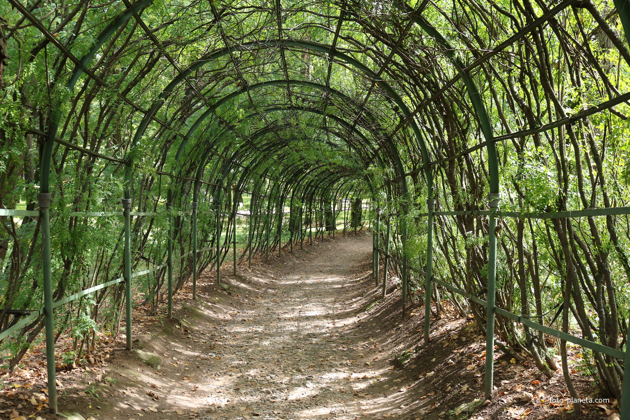 Галерея берсо