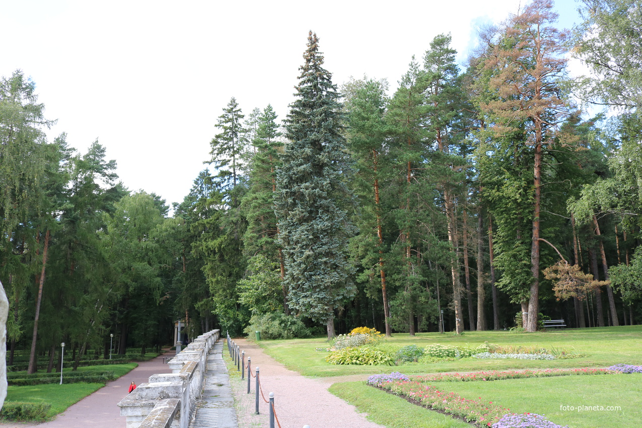 Усадьба Архангельское