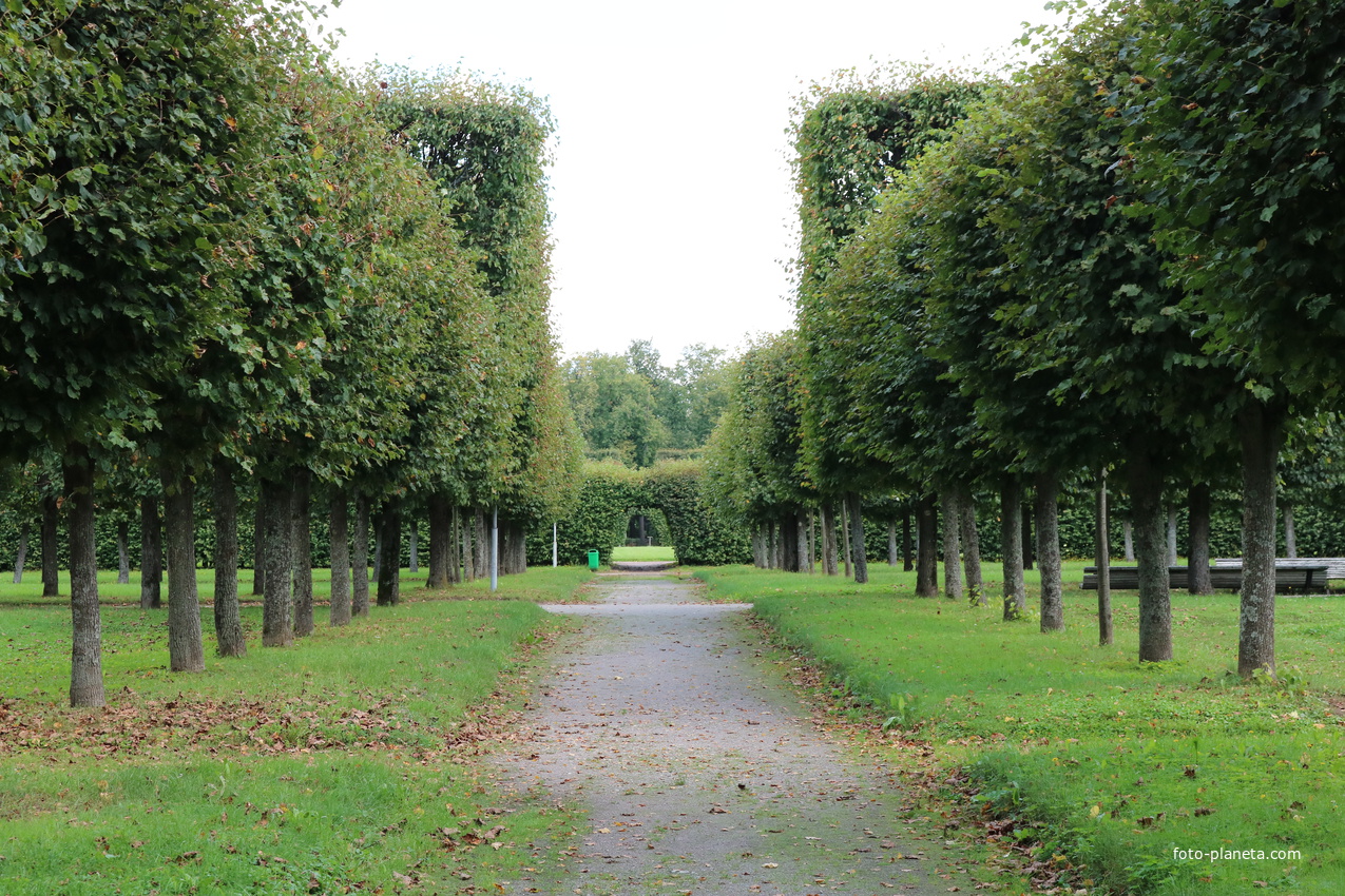 Музей-усадьба Архангельское