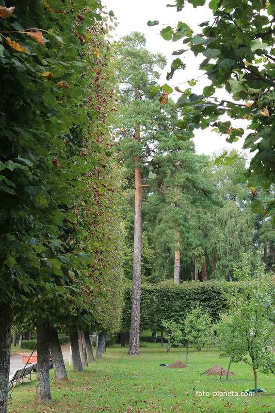 Усадьба Архангельское