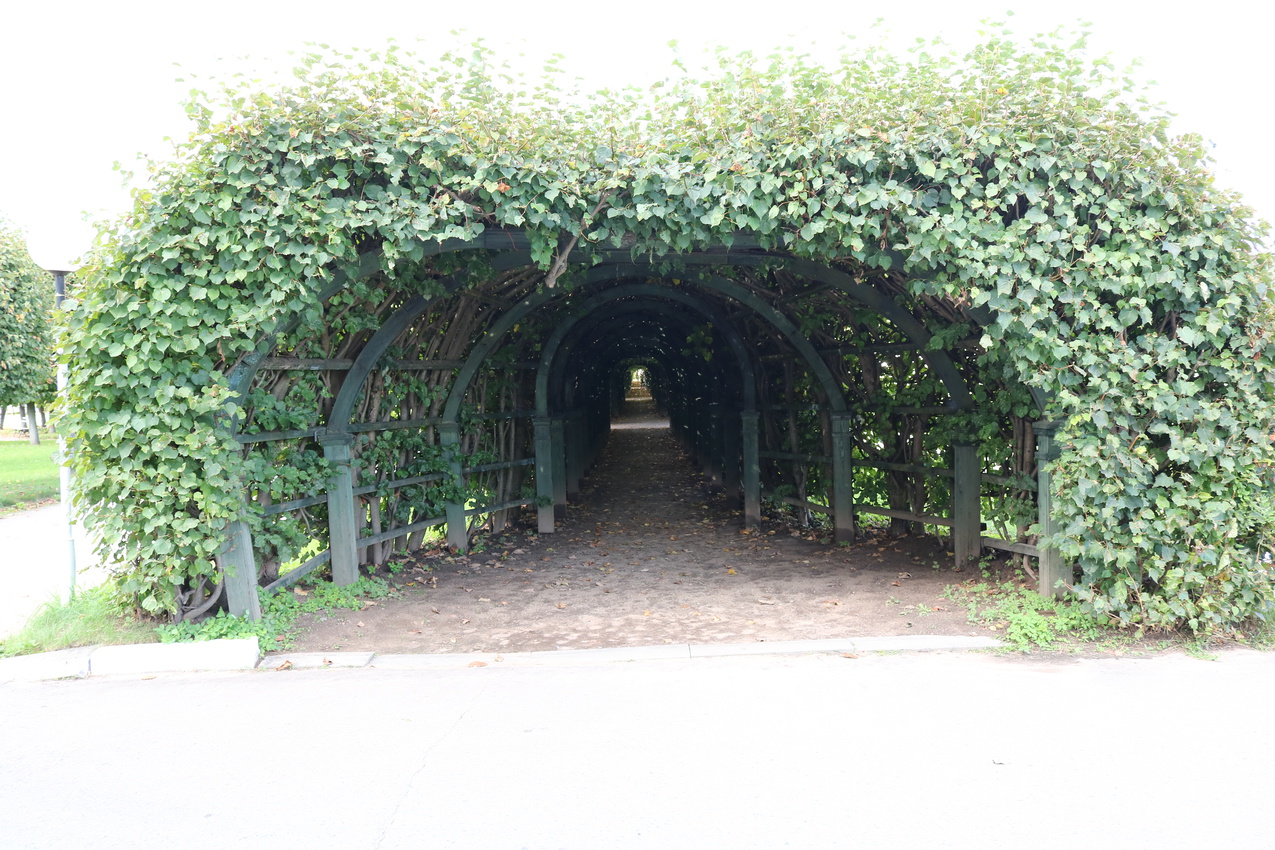 Галереи-берсо