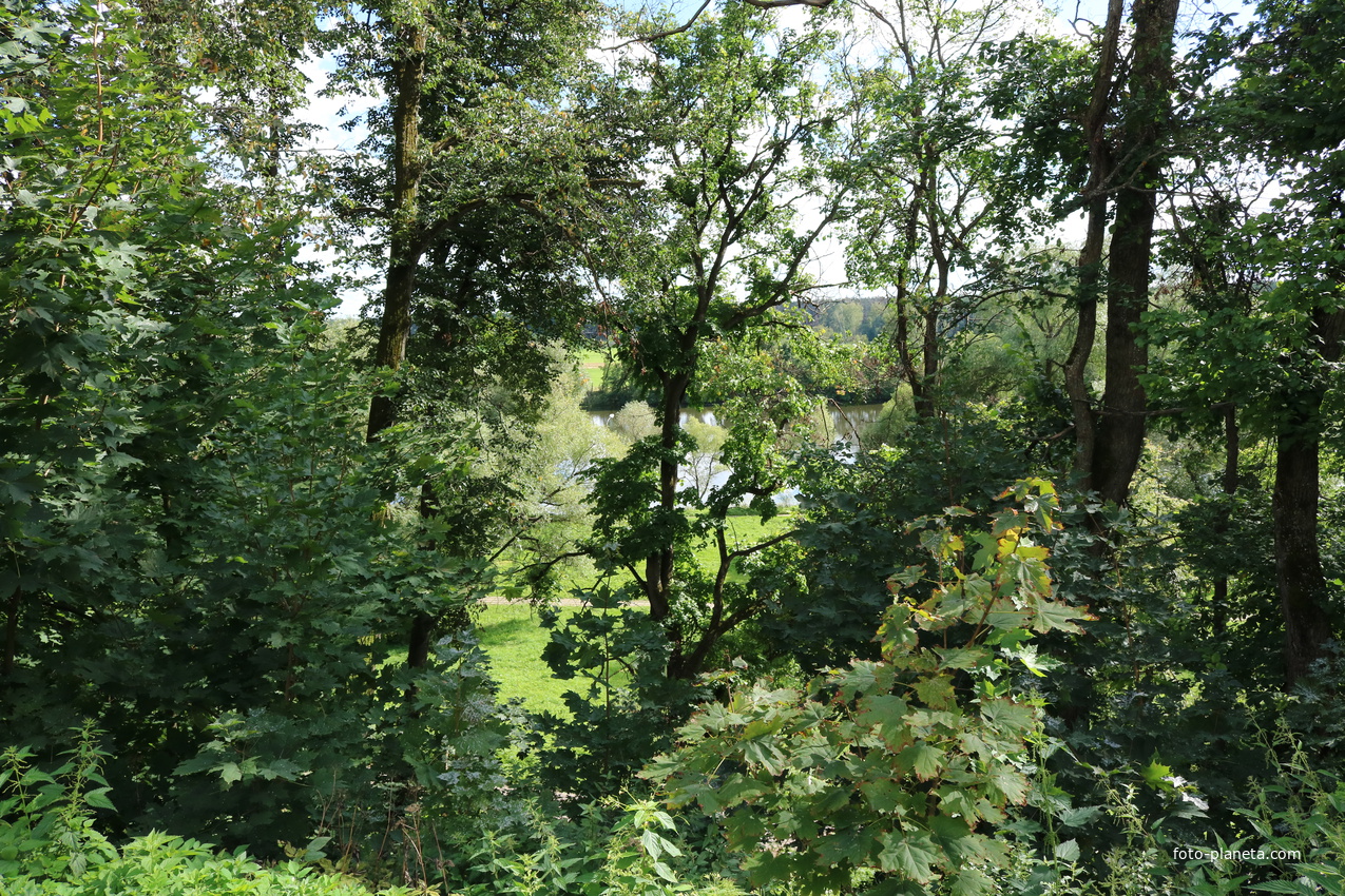 Старица реки Москва