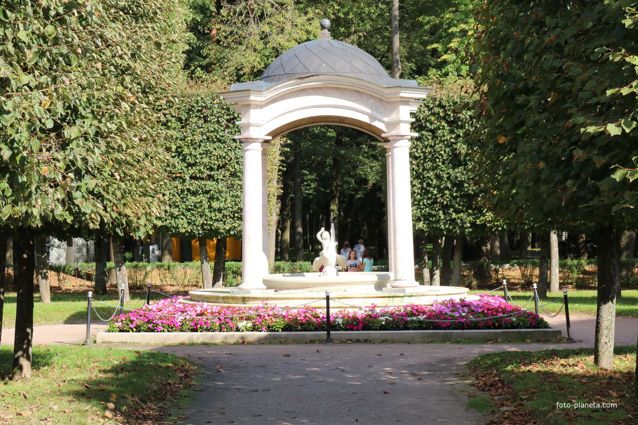 Ротонда Розовый Фонтан