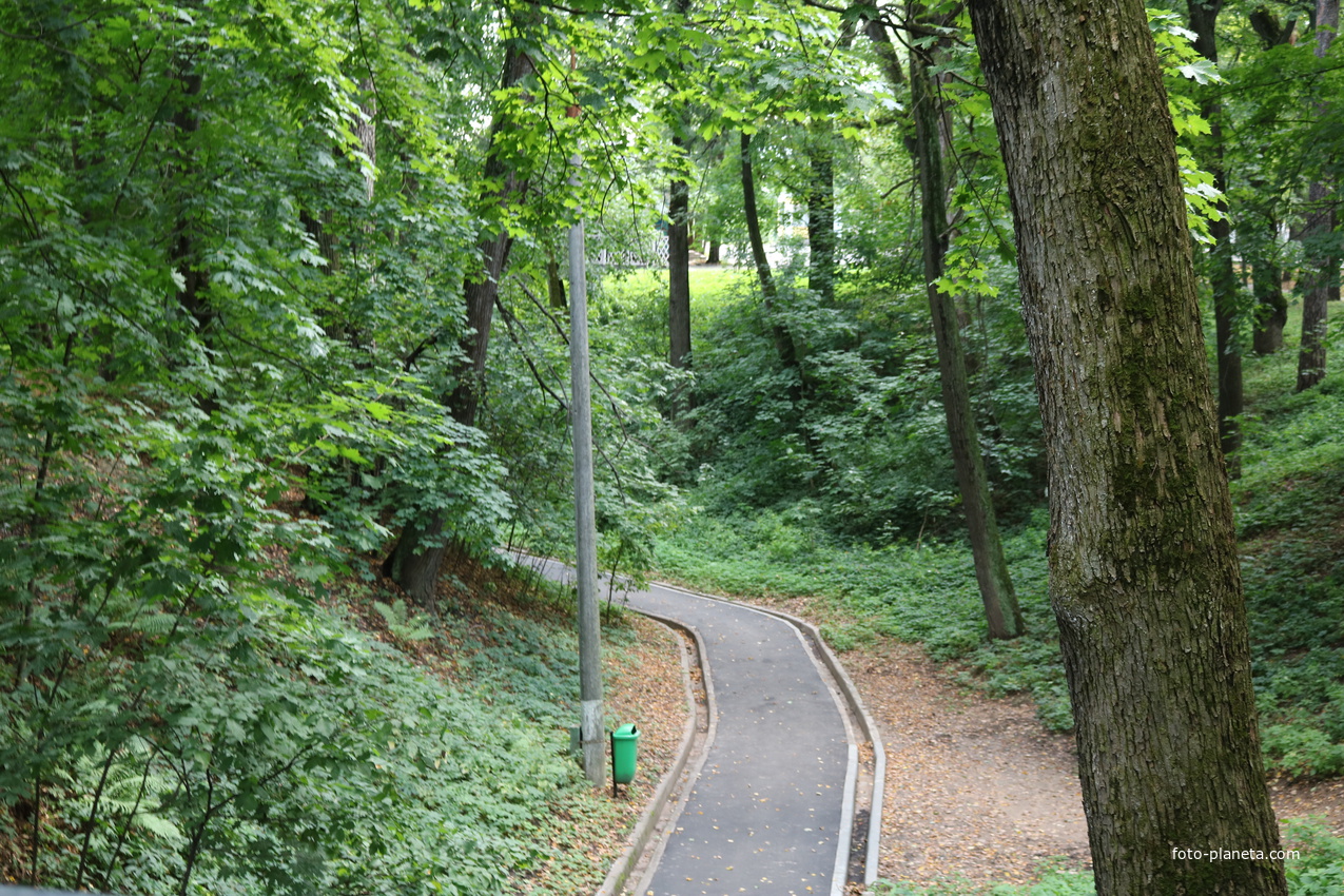 Дорожка к старице Москвы реки