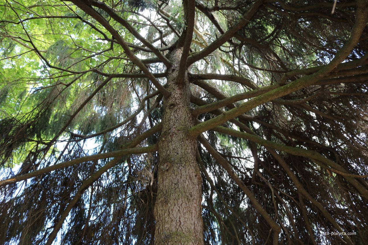 Усадьба Архангельское