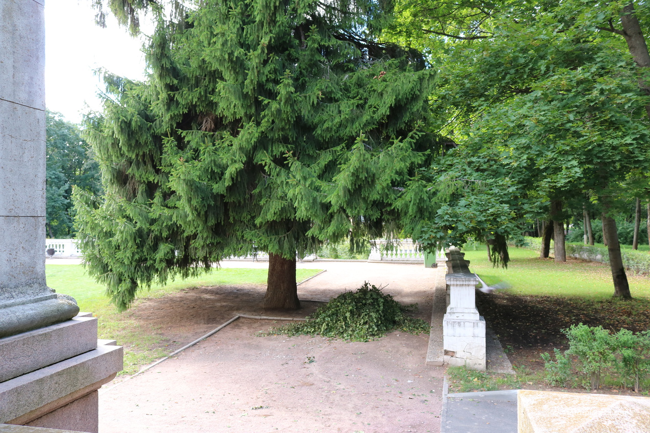 Усадьба Архангельское