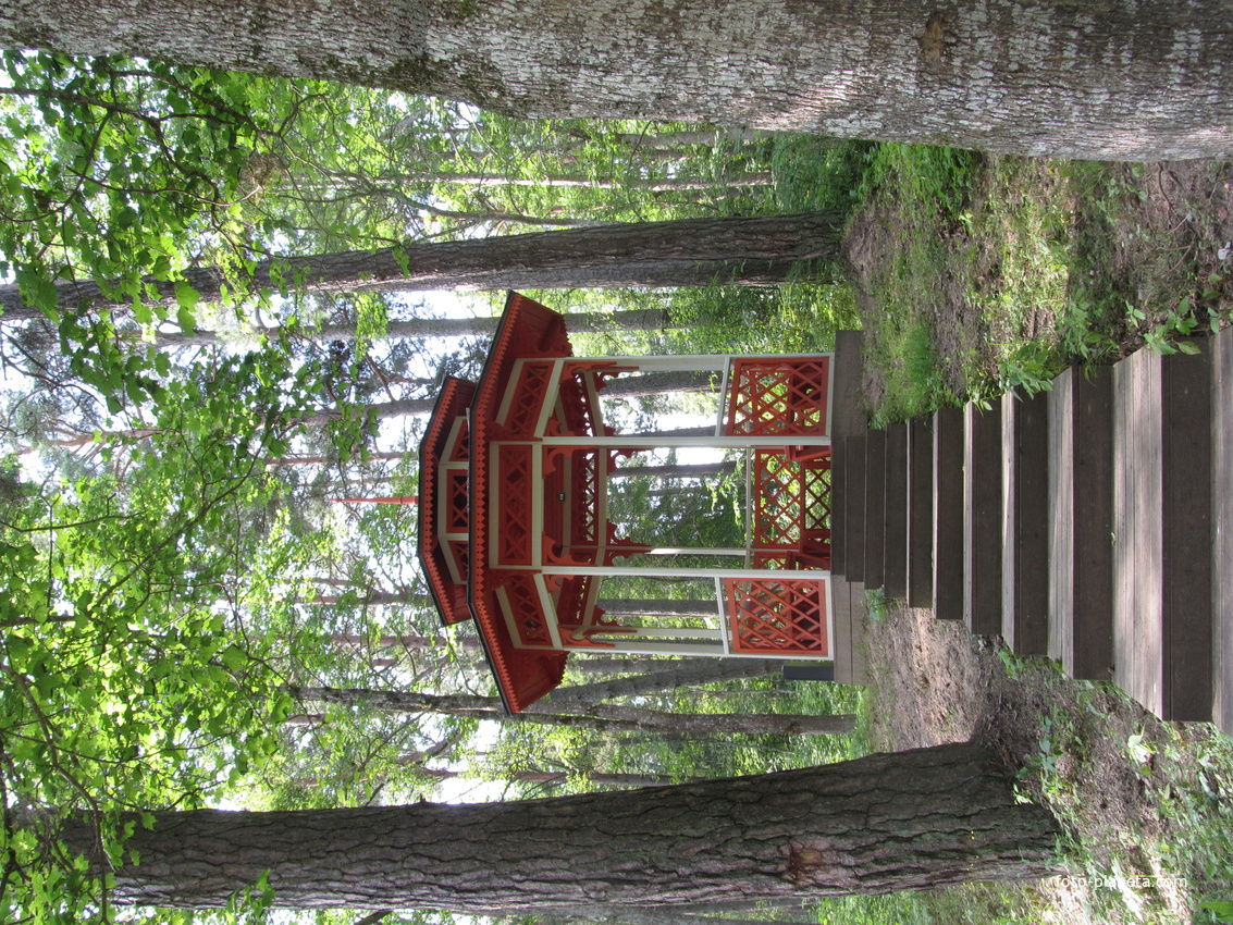 Усть-Нарва, беседка