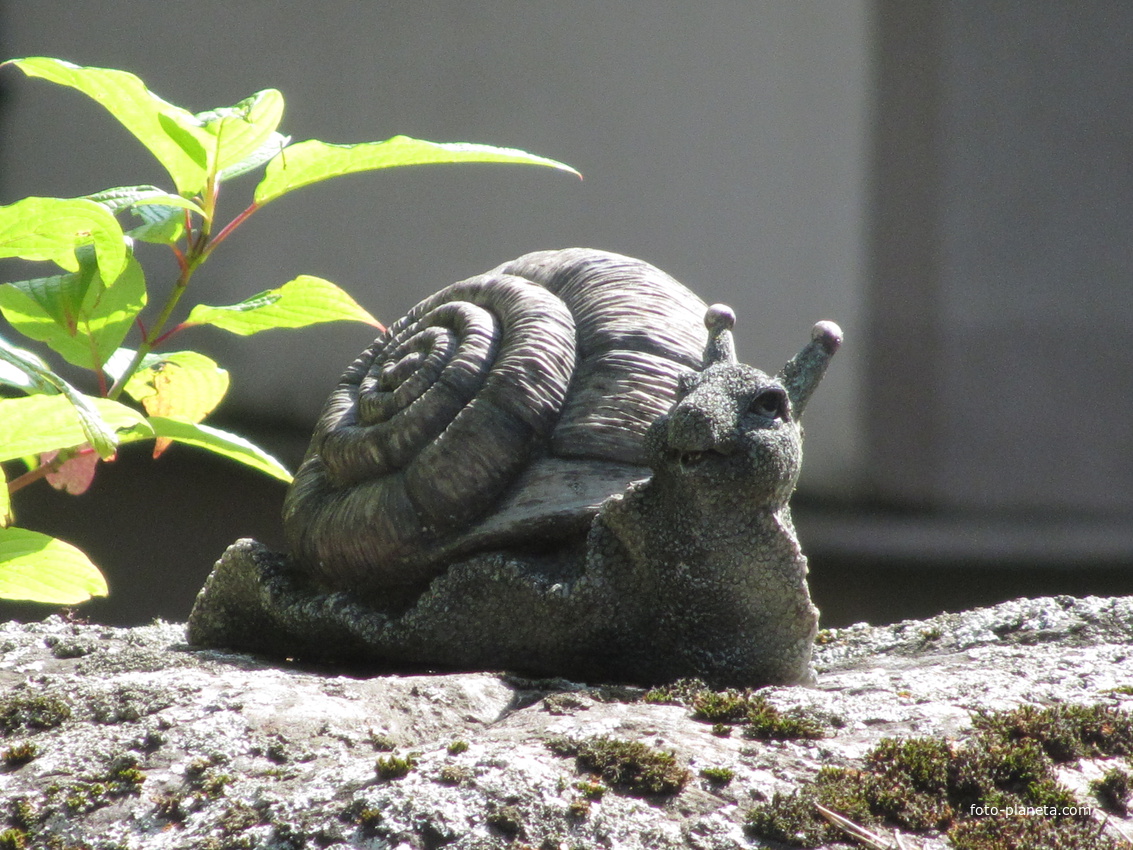 Усть-Нарва, улитка