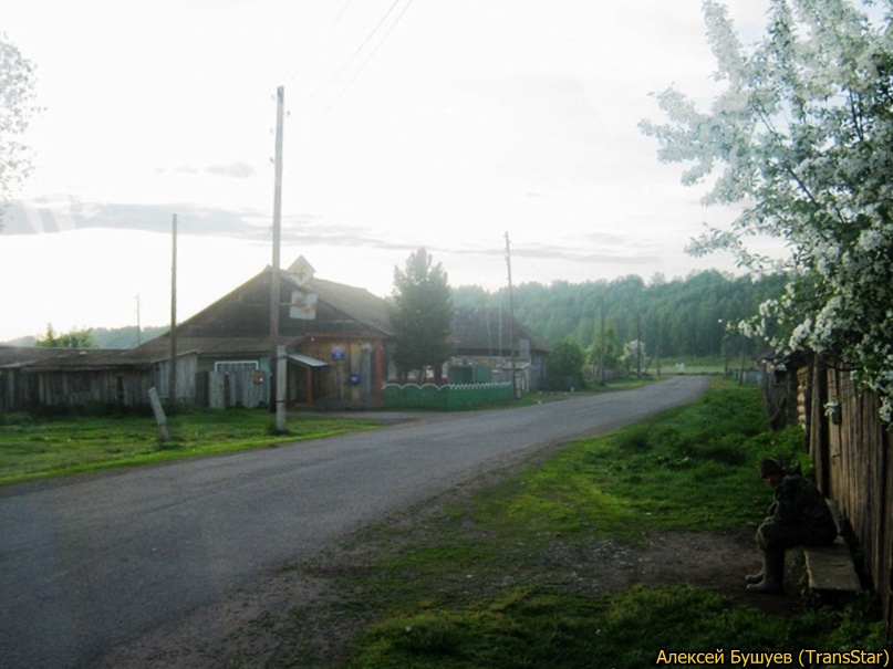 Качулька, ул.Курятская, 2011г.