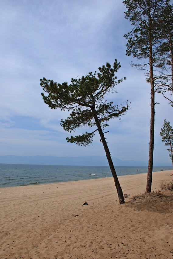 Байкальский берег.