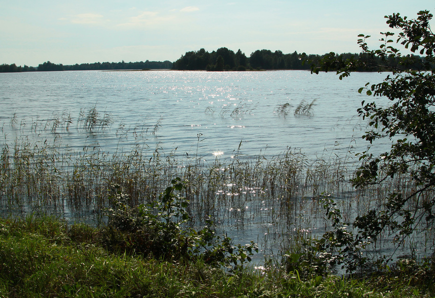 Вид на Онежское озеро с острова Кижи