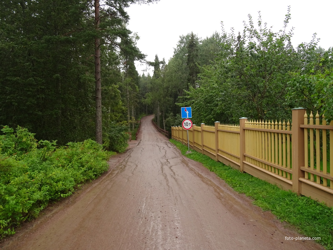 На территории Гефсиманского скита